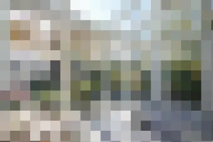 Wilhelminastraat 77 Lekkerkerk thumbnail 16