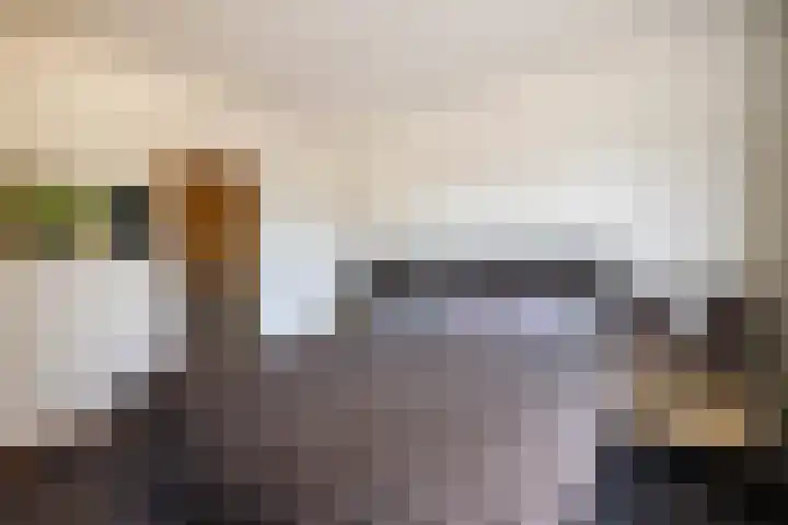 Wilhelminastraat 77 Lekkerkerk thumbnail 24