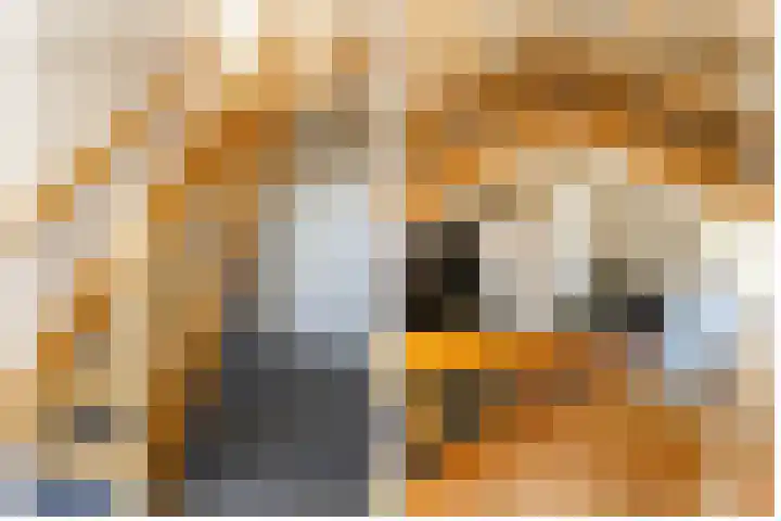 Wilhelminastraat 77 Lekkerkerk thumbnail 28