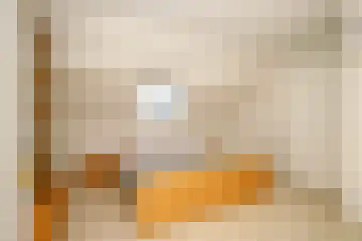 Wilhelminastraat 77 Lekkerkerk thumbnail 29