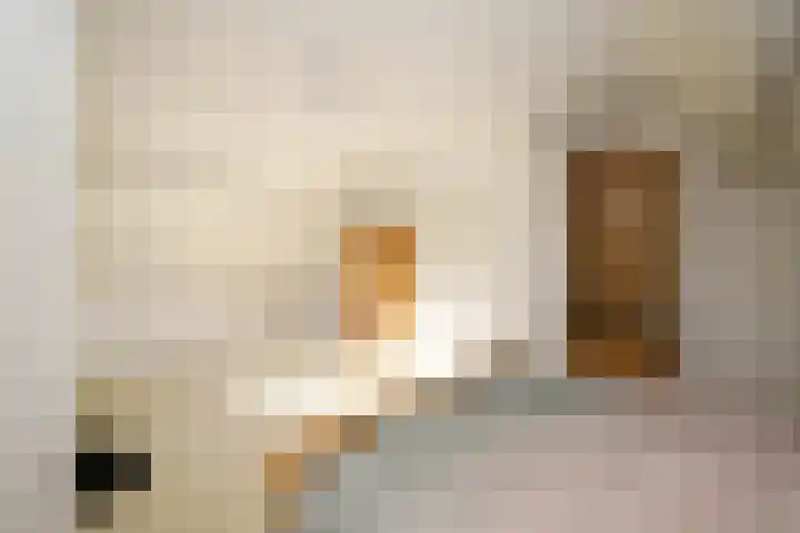 Wilhelminastraat 77 Lekkerkerk thumbnail 30