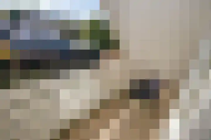 Wilhelminastraat 77 Lekkerkerk thumbnail 32