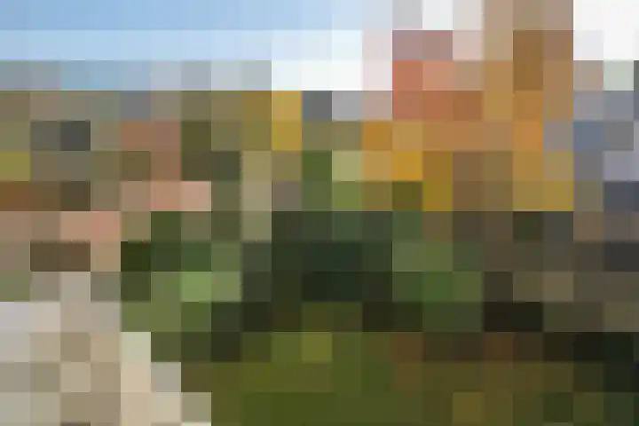 Wilhelminastraat 77 Lekkerkerk thumbnail 33