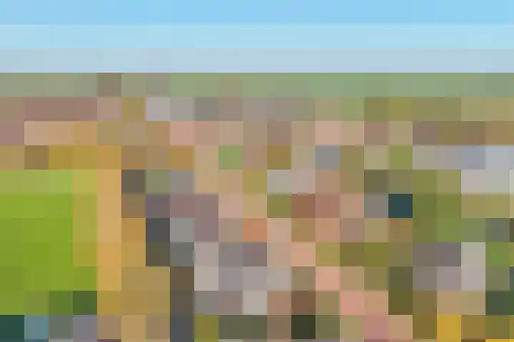Wilhelminastraat 77 Lekkerkerk thumbnail 38