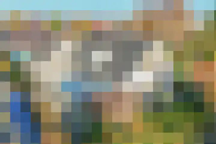 Wilhelminastraat 77 Lekkerkerk thumbnail 40