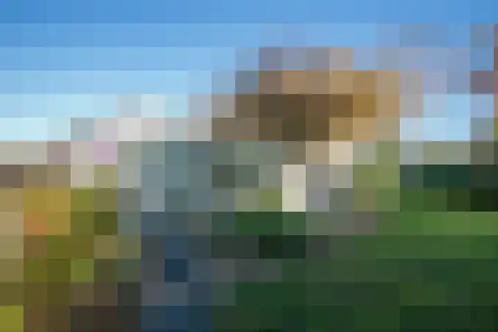 Wilhelminastraat 77 Lekkerkerk thumbnail 45