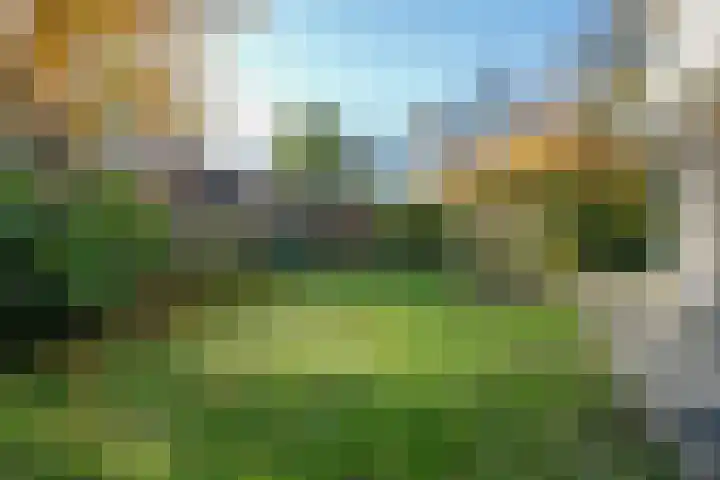 Wilhelminastraat 77 Lekkerkerk thumbnail 46