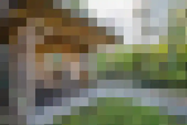 Wilhelminastraat 77 Lekkerkerk thumbnail 47