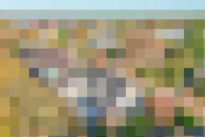 Wilhelminastraat 77 Lekkerkerk thumbnail 5