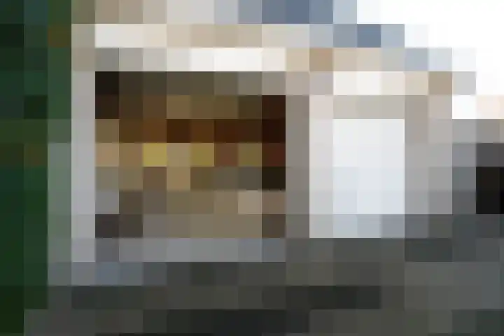 Wilhelminastraat 77 Lekkerkerk thumbnail 50