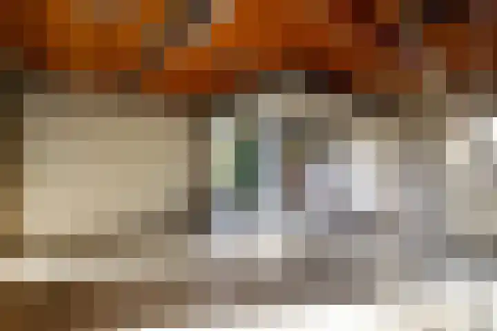Wilhelminastraat 77 Lekkerkerk thumbnail 52