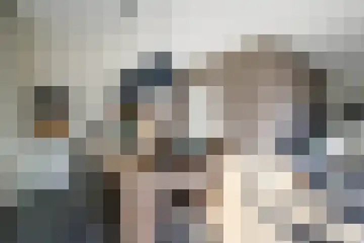Wilhelminastraat 77 Lekkerkerk thumbnail 9