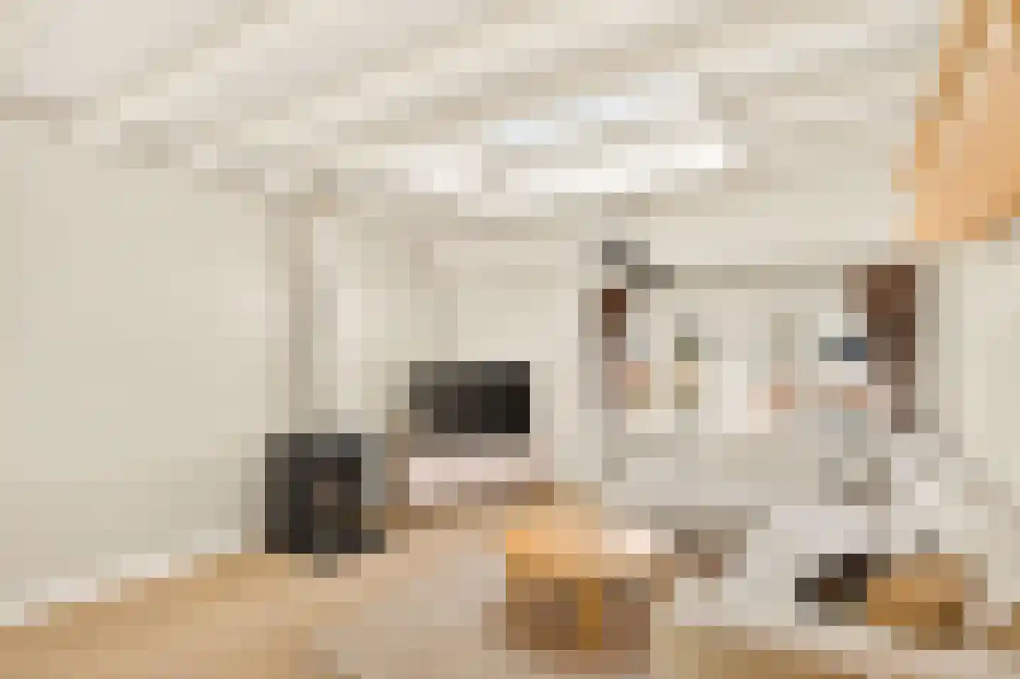 Wilhelminastraat 79 3 Amsterdam thumbnail 10