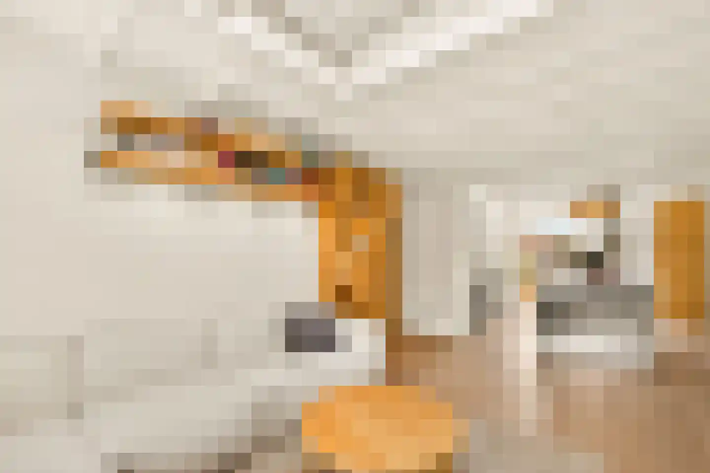 Wilhelminastraat 79 3 Amsterdam thumbnail 12