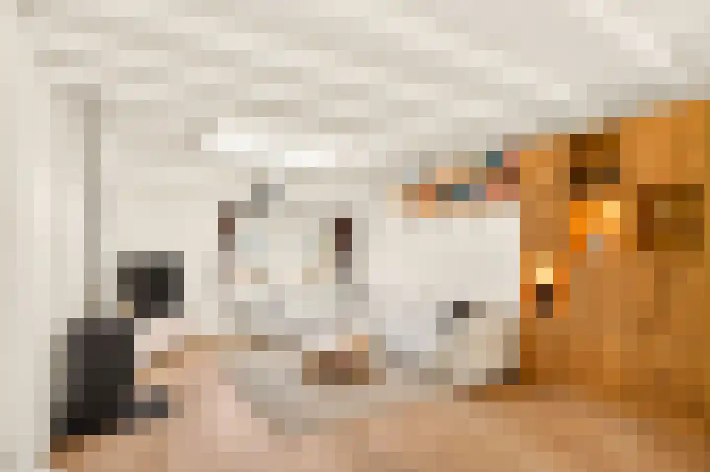 Wilhelminastraat 79 H Amsterdam thumbnail 7
