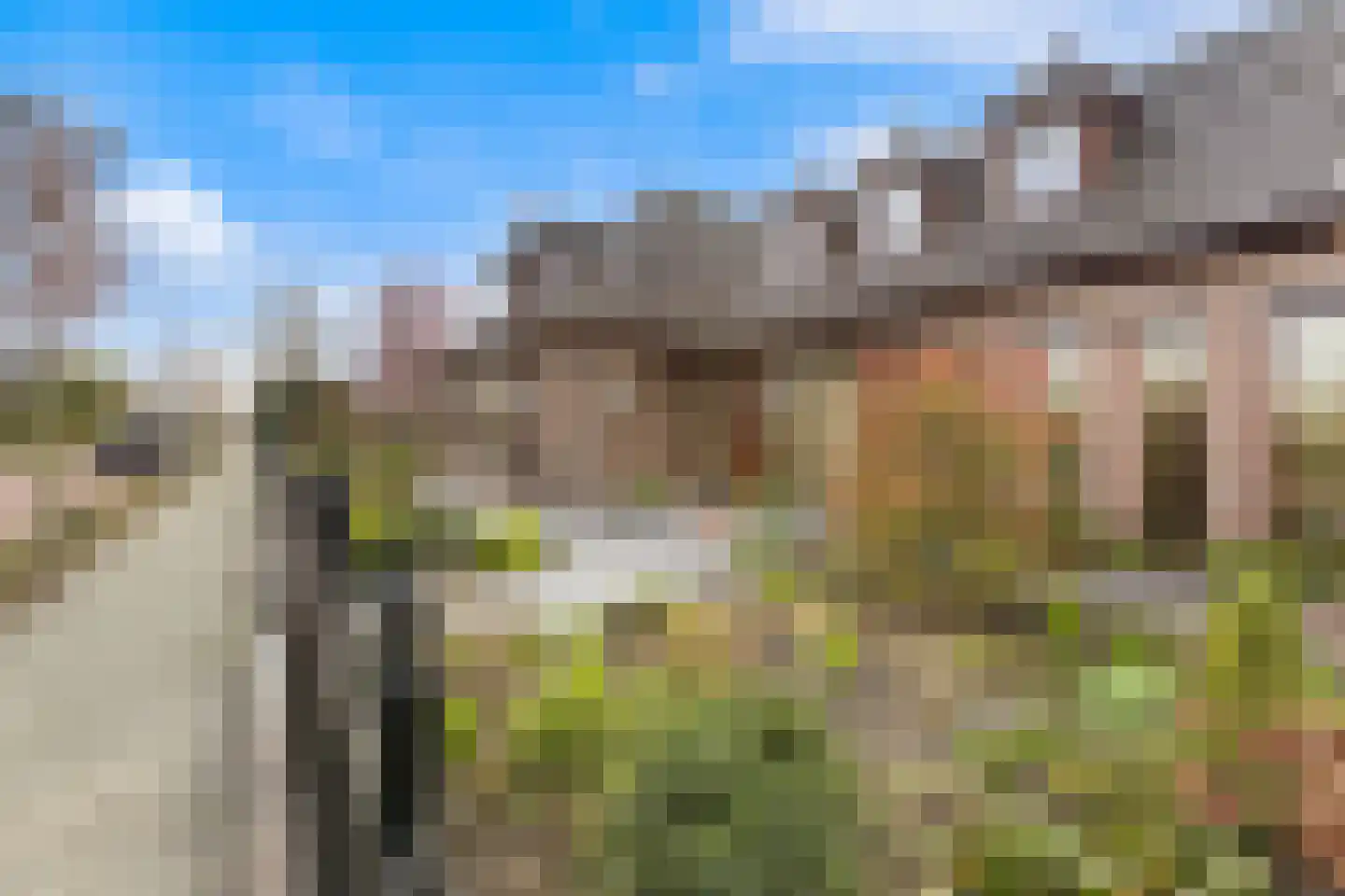 Wilhelminastraat 79 Lekkerkerk thumbnail 14