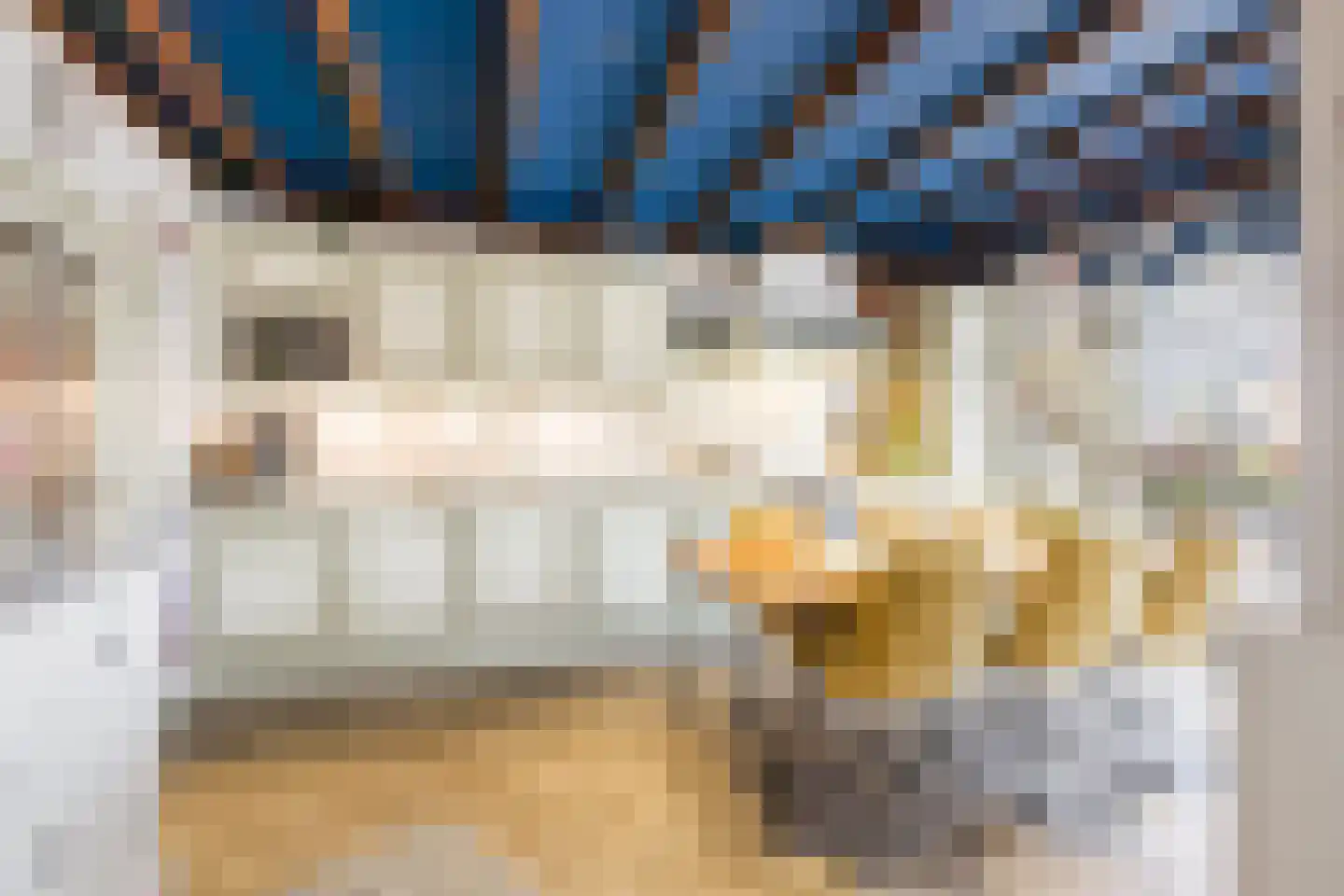 Wilhelminastraat 79 Lekkerkerk thumbnail 18