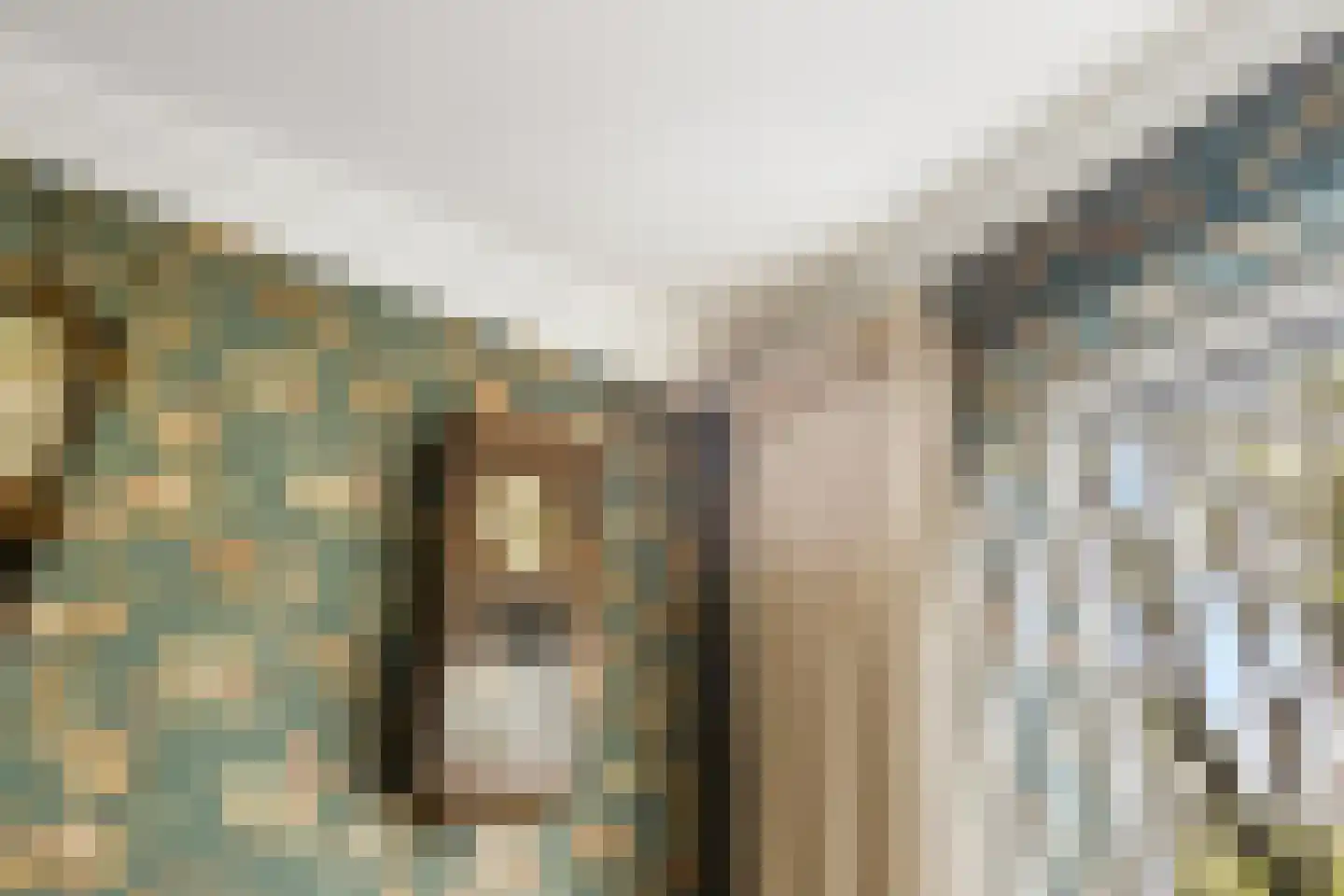 Wilhelminastraat 79 Lekkerkerk thumbnail 23