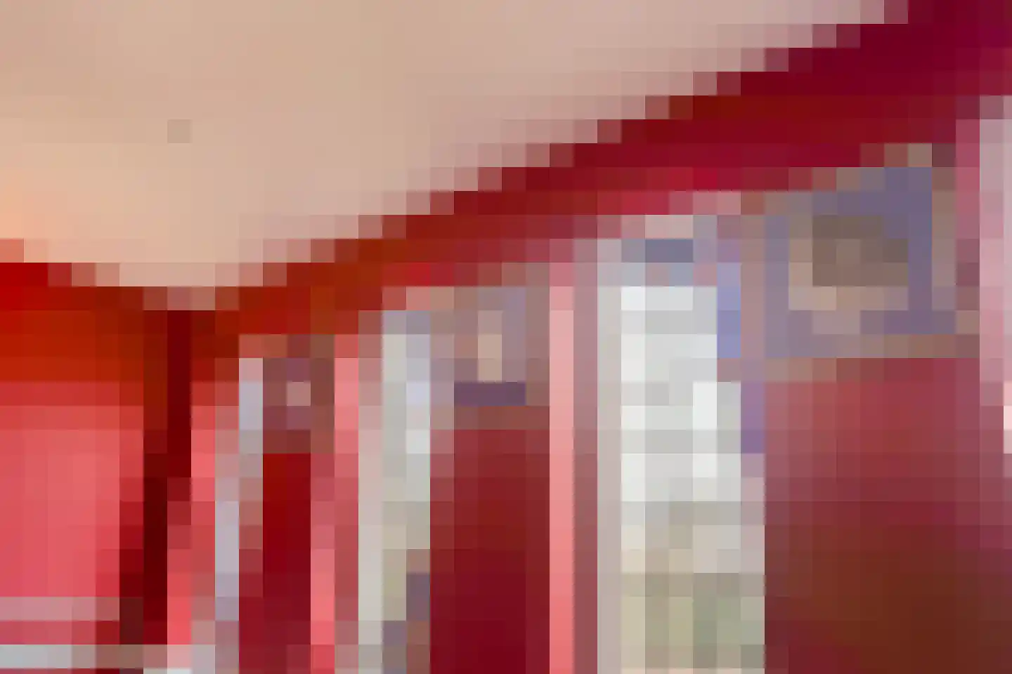 Wilhelminastraat 79 Lekkerkerk thumbnail 26