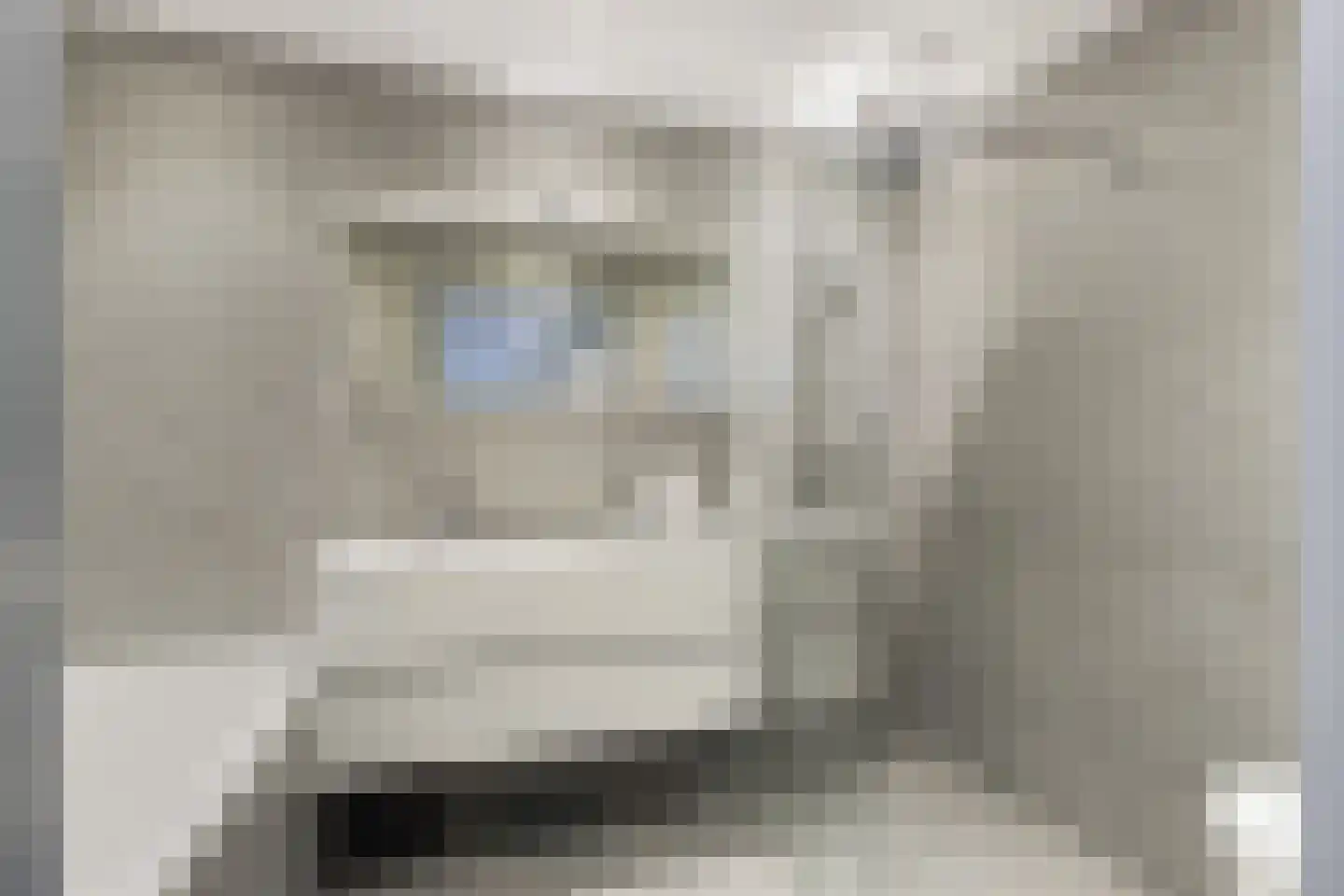 Wilhelminastraat 79 Lekkerkerk thumbnail 28