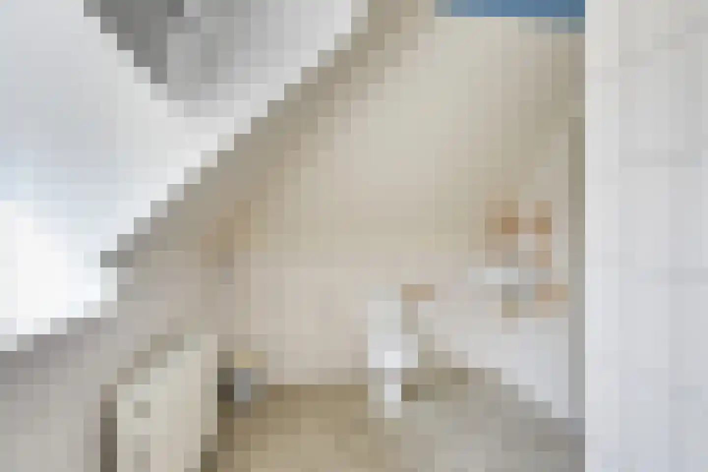 Wilhelminastraat 79 Lekkerkerk thumbnail 40