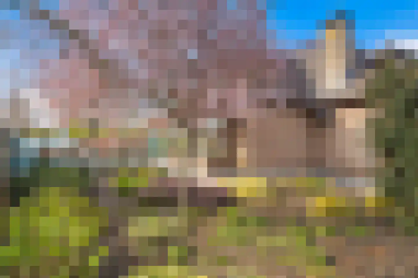 Wilhelminastraat 79 Lekkerkerk thumbnail 43
