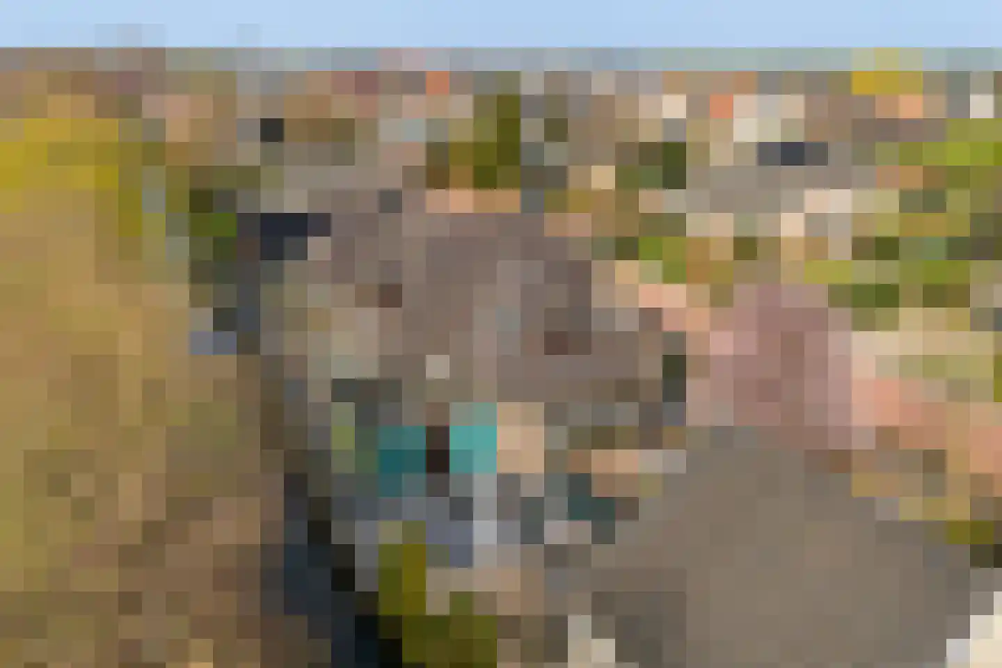 Wilhelminastraat 79 Lekkerkerk thumbnail 45