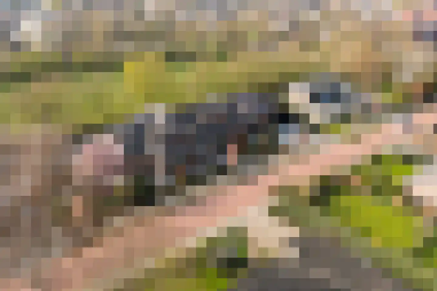 Wilhelminastraat 79 Lekkerkerk thumbnail 5