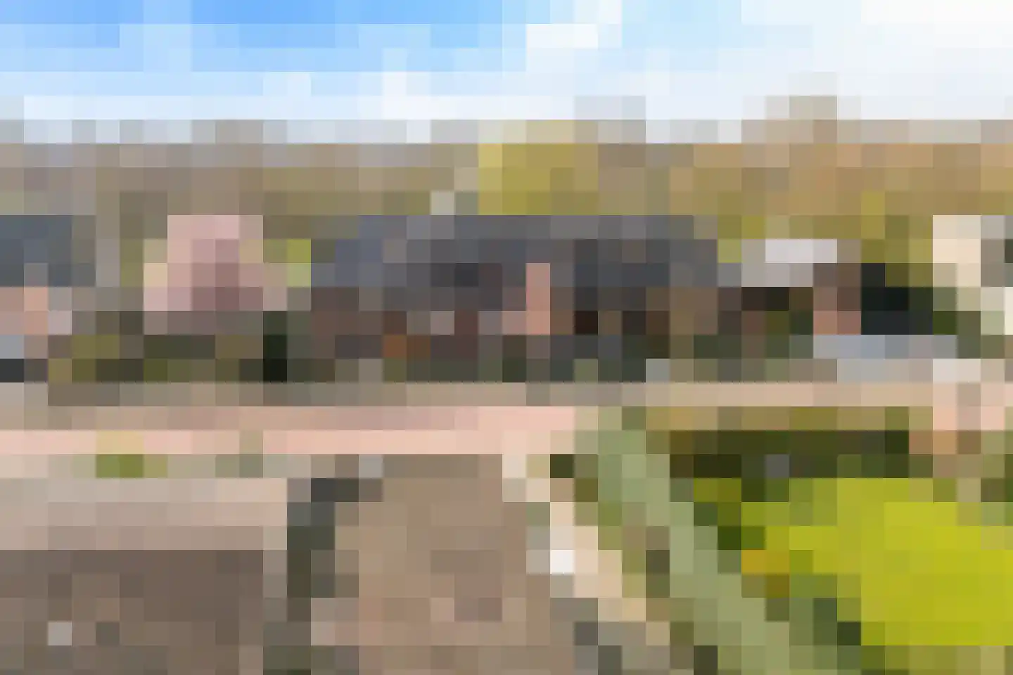 Wilhelminastraat 79 Lekkerkerk thumbnail 6