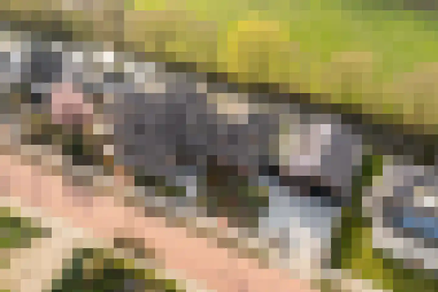 Wilhelminastraat 79 Lekkerkerk thumbnail 8
