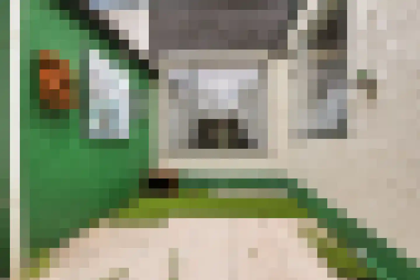 Wilhelminastraat 8 Beverwijk thumbnail 30