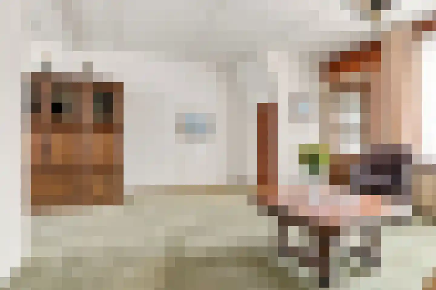 Wilhelminastraat 8 Beverwijk thumbnail 8