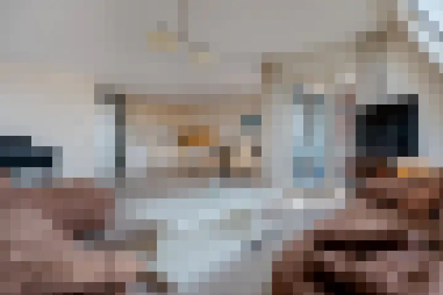 Wilhelminastraat 8 G Roden thumbnail 10