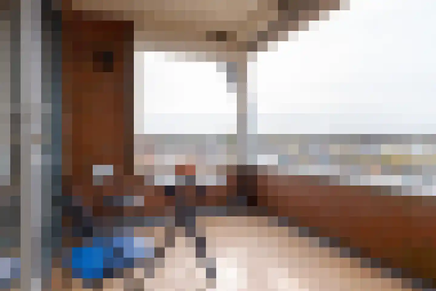 Wilhelminastraat 8 G Roden thumbnail 5