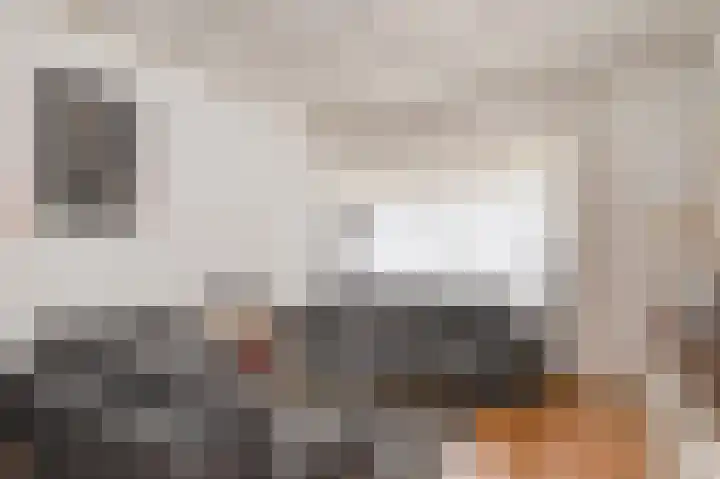 Wilhelminastraat 8 Geleen thumbnail 10