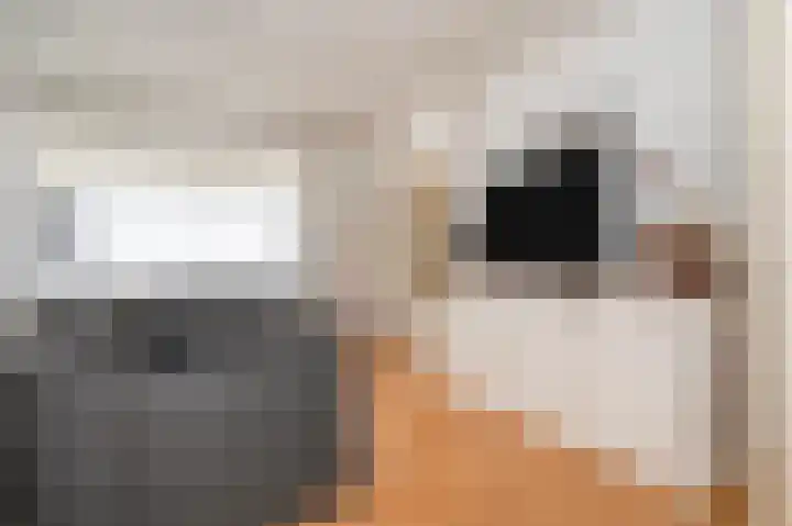 Wilhelminastraat 8 Geleen thumbnail 11