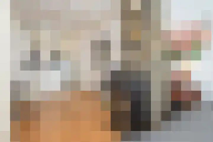 Wilhelminastraat 8 Geleen thumbnail 13