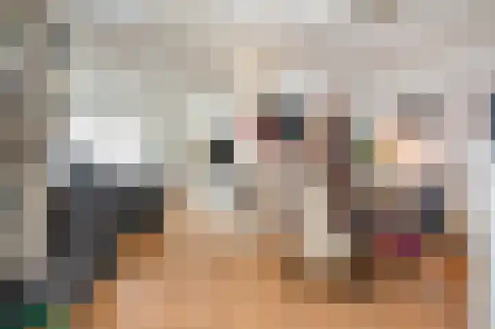 Wilhelminastraat 8 Geleen thumbnail 15
