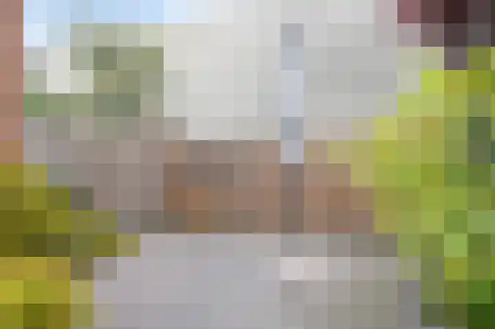 Wilhelminastraat 8 Geleen thumbnail 21