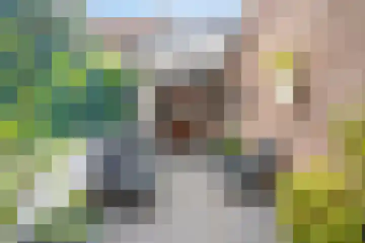 Wilhelminastraat 8 Geleen thumbnail 23