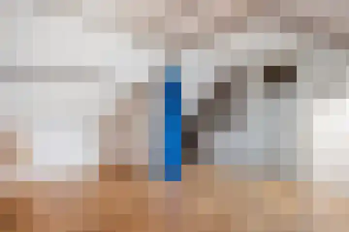 Wilhelminastraat 8 Geleen thumbnail 34