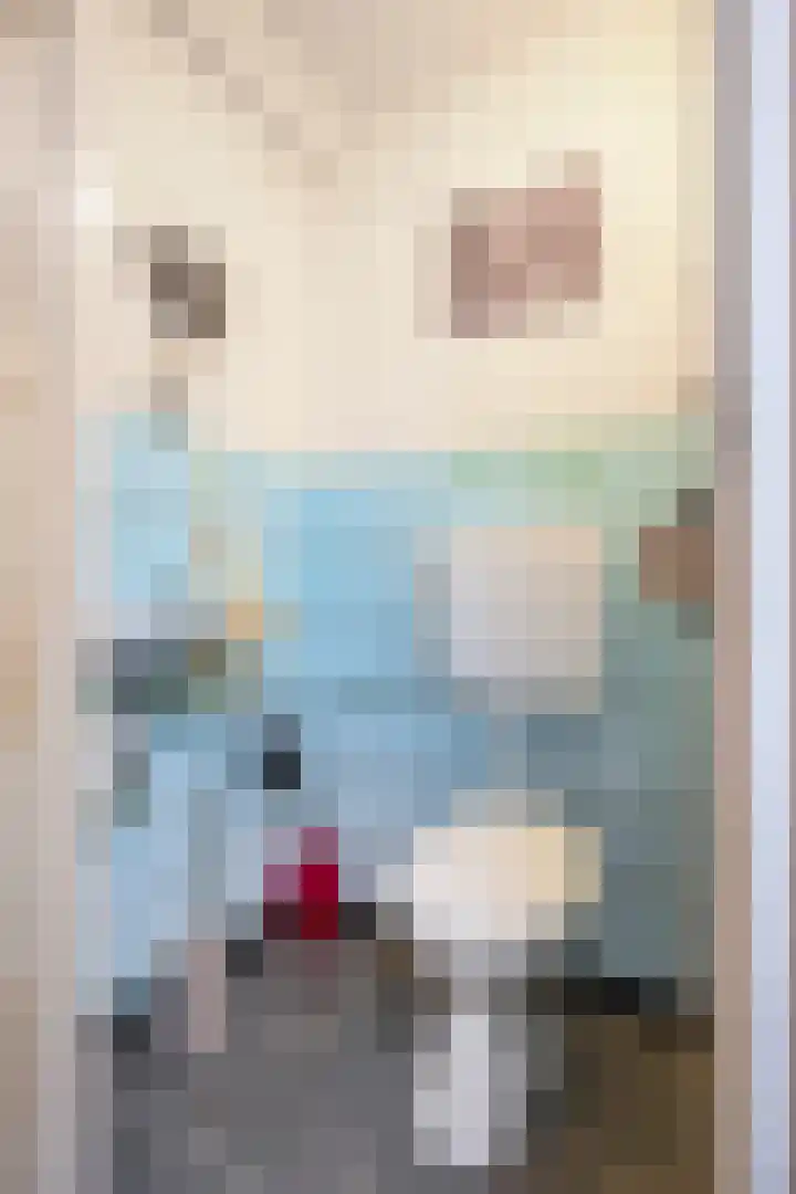 Wilhelminastraat 8 Geleen thumbnail 9