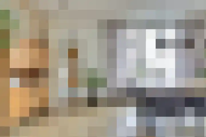 Wilhelminastraat 8 Kortgene thumbnail 11