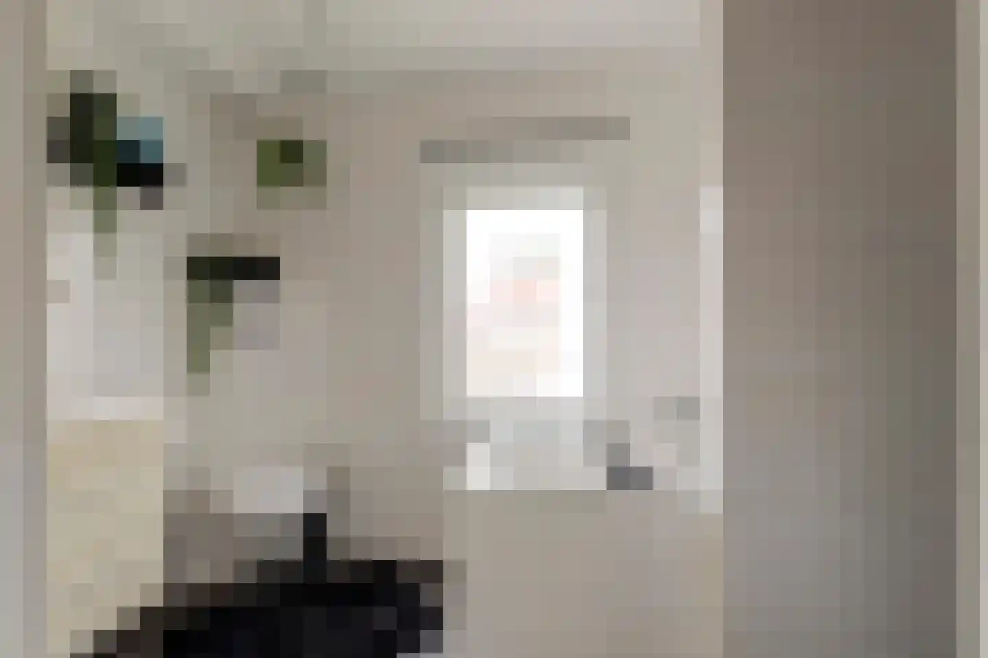Wilhelminastraat 8 Kortgene thumbnail 18
