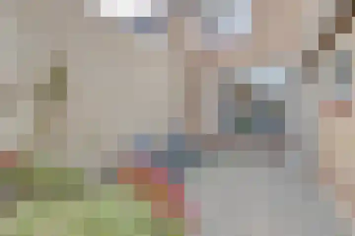 Wilhelminastraat 8 Kortgene thumbnail 22
