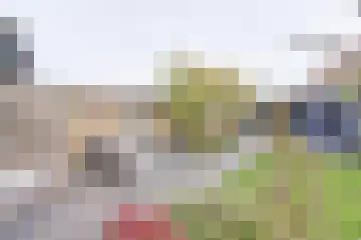 Wilhelminastraat 8 Kortgene thumbnail 23