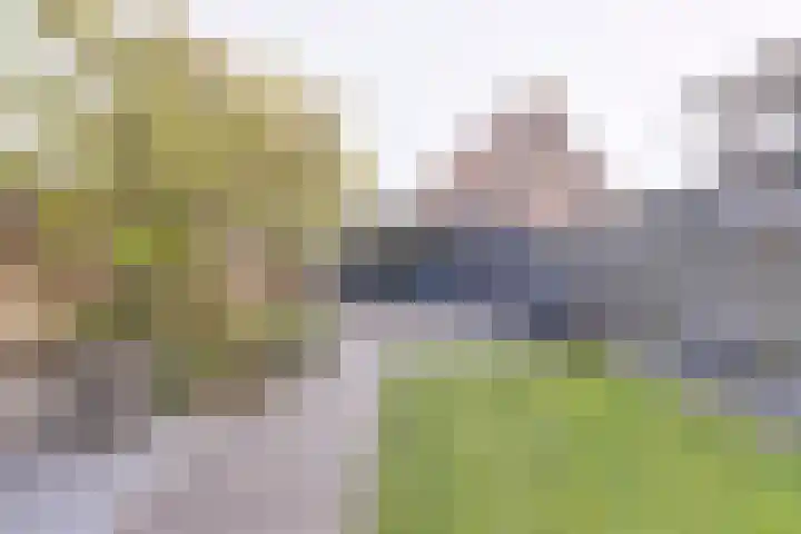 Wilhelminastraat 8 Kortgene thumbnail 24