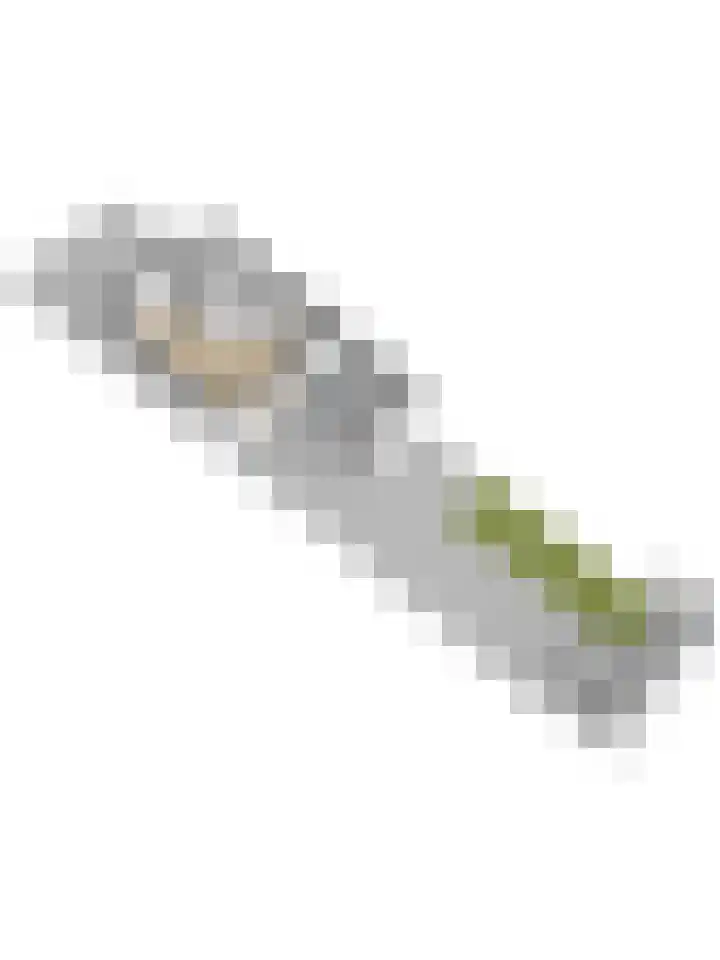 Wilhelminastraat 8 Kortgene thumbnail 41