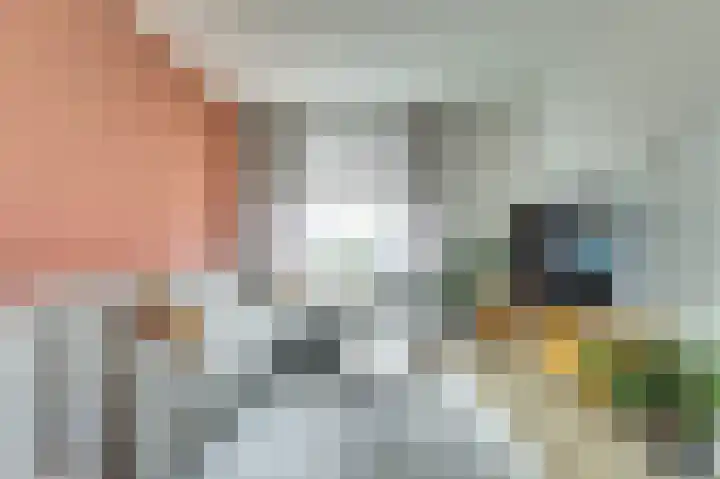 Wilhelminastraat 8 Kortgene thumbnail 6