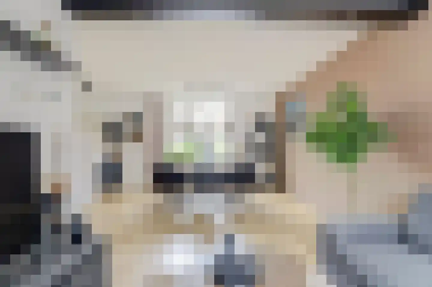 Wilhelminastraat 8 Kortgene thumbnail 9